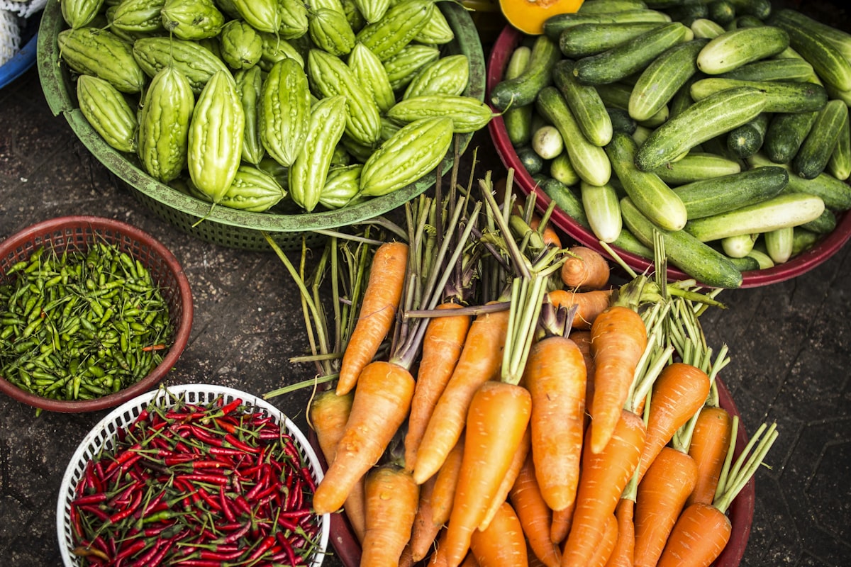 Agricultural education and crop training in the field